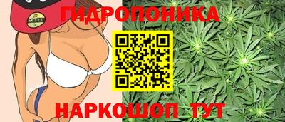 ПСИЛОЦИБИНОВЫЕ ГРИБЫ Ярославль