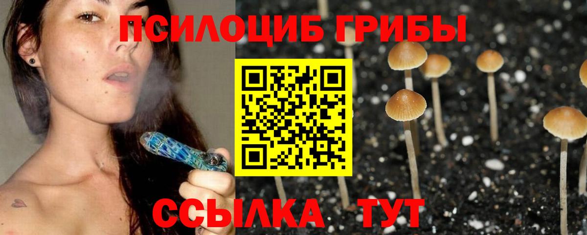 Галлюциногенные грибы мухоморы  закладки  Ступино  Вход с VPN 